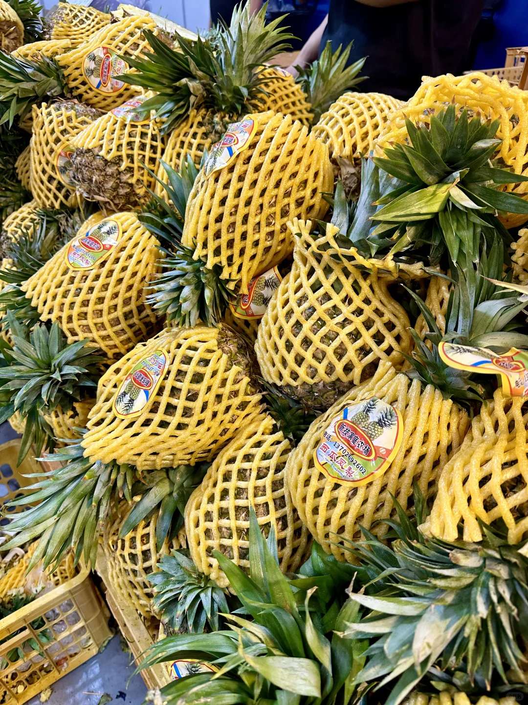 快去2025新乡首届进出口商品博览会