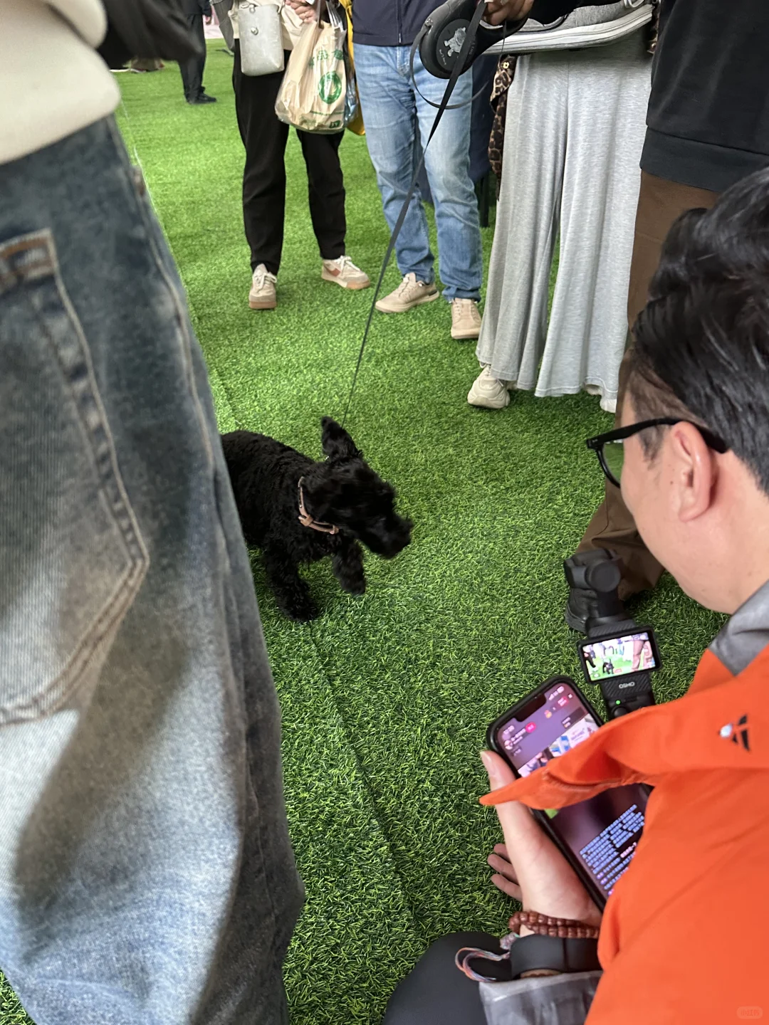 拉萨宠物展｜发现多多的好多小伙伴