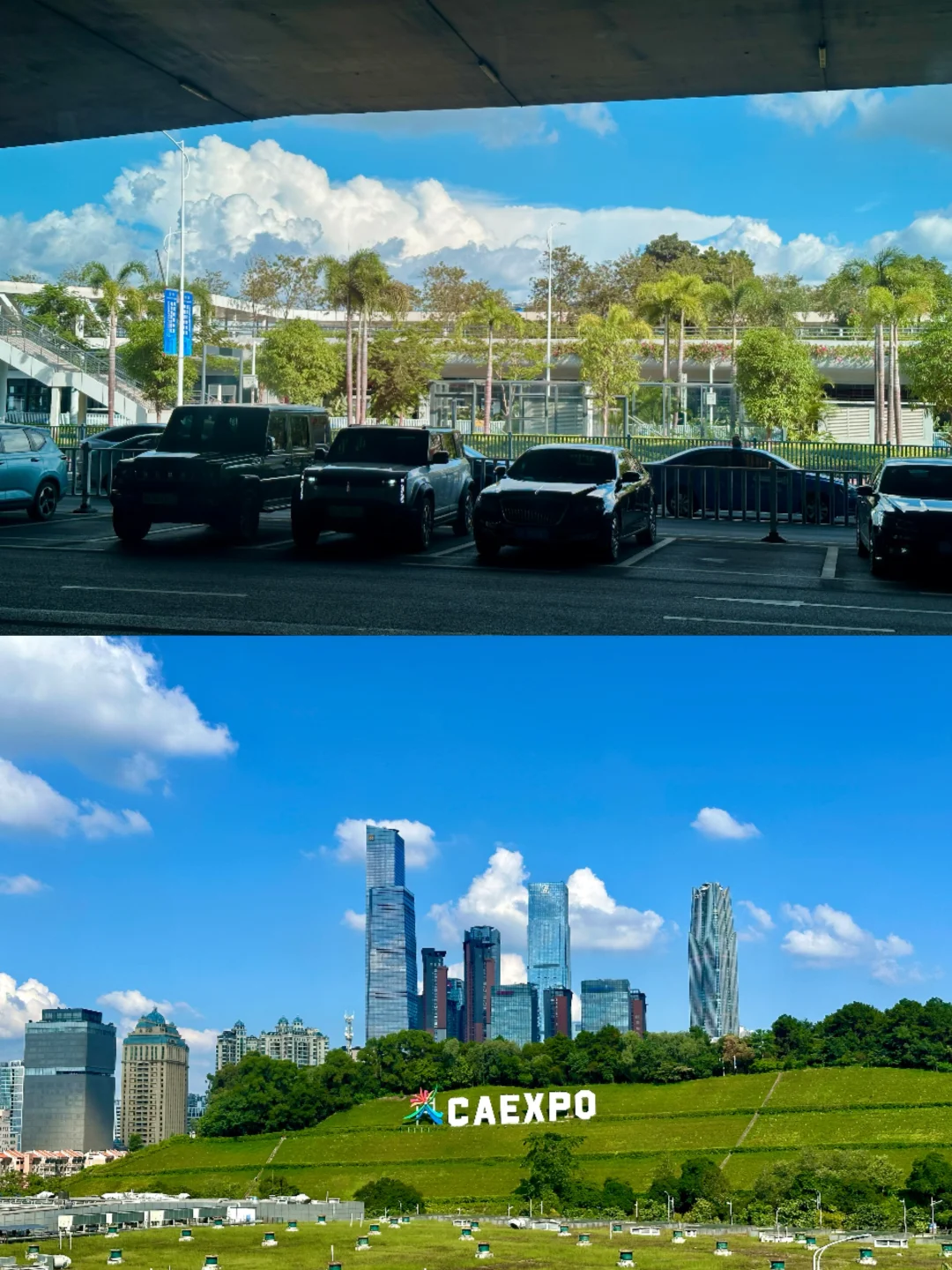 东博会记者日常?️