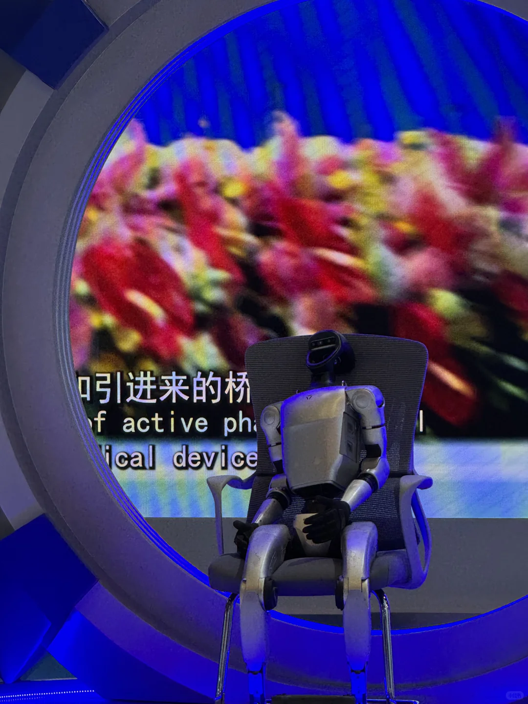 ? 记2025 // 中国东盟博览会