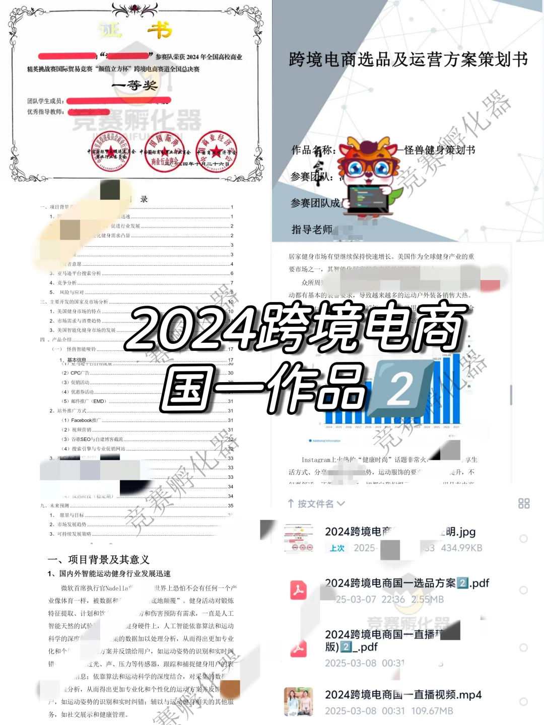 商挑 | 跨境电商 | 国一作品合集分享‼️