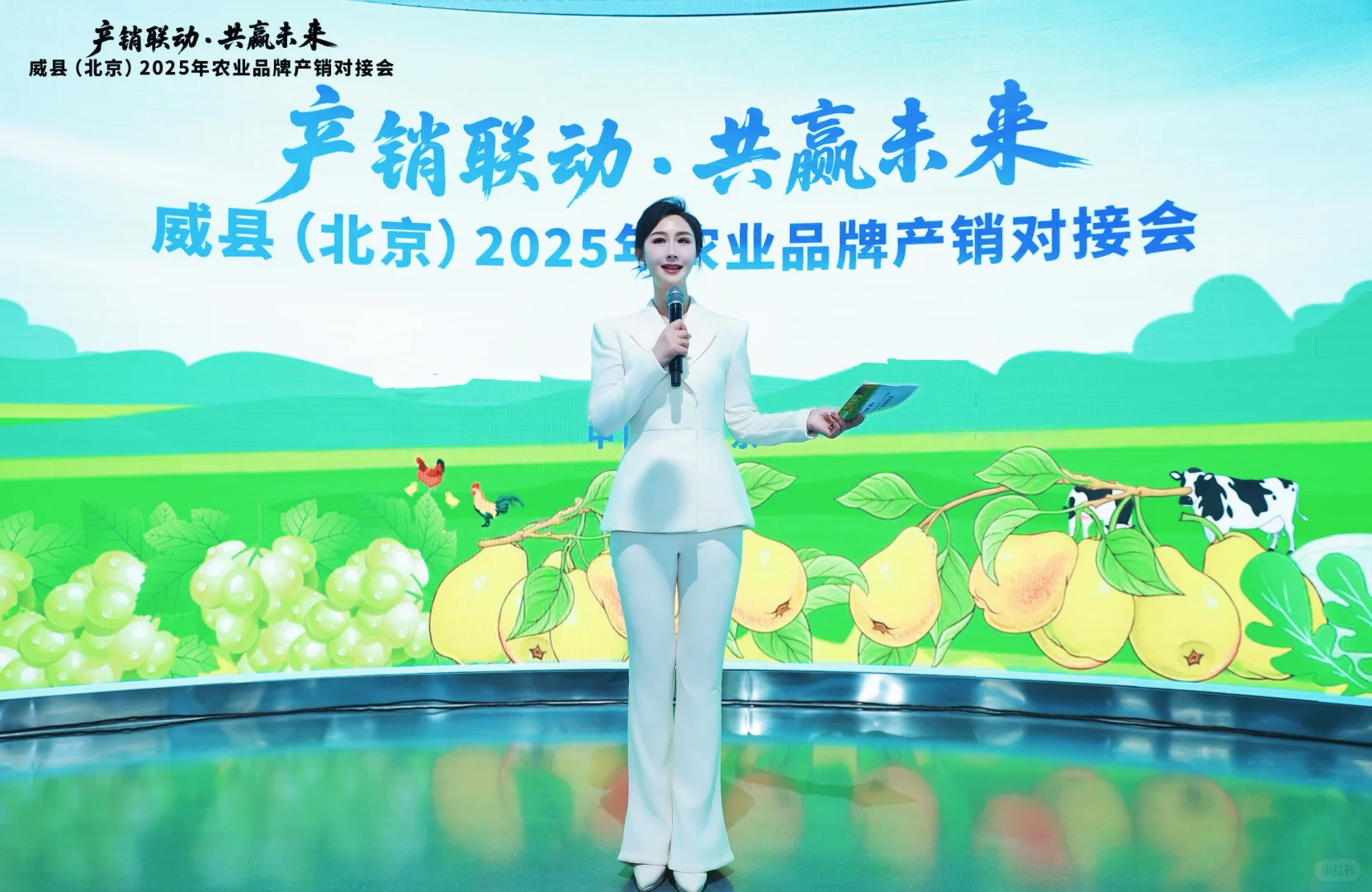 快来码住！！万能主持词——农产品推介会