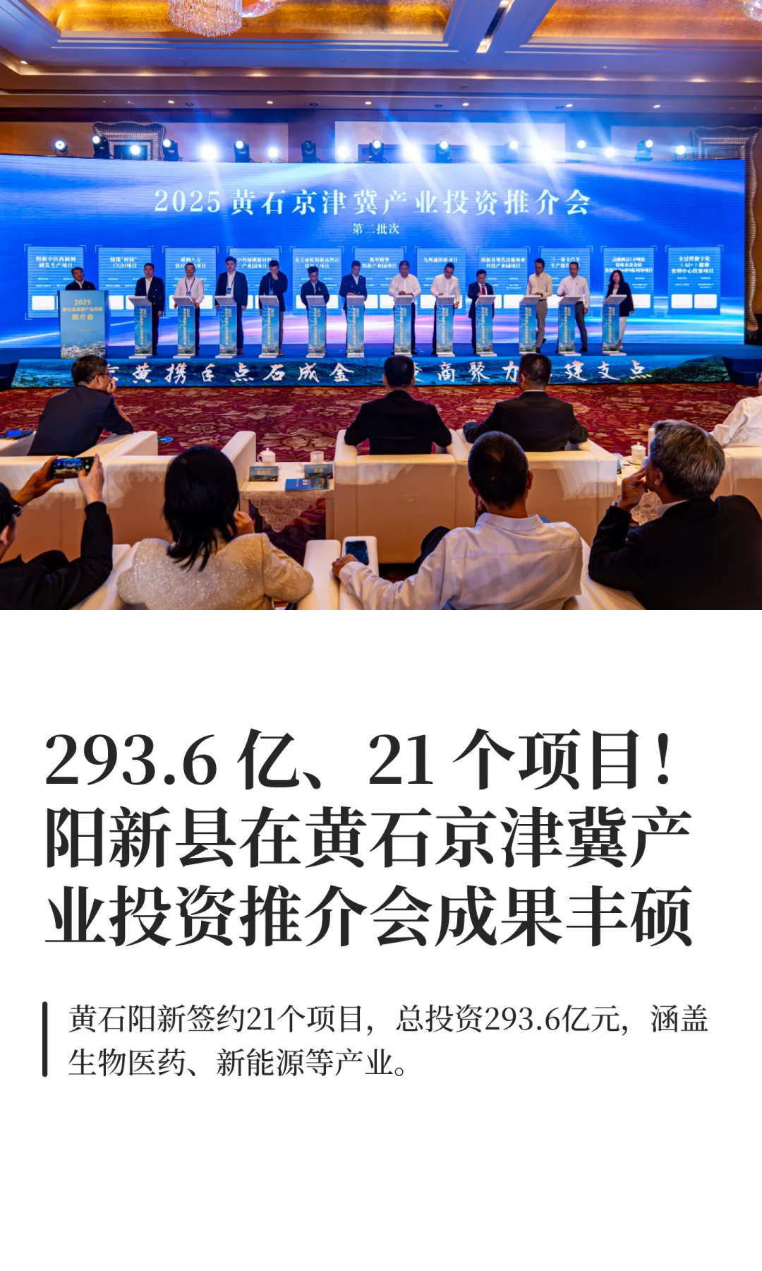 阳新进京招商揽下293.6亿元投资