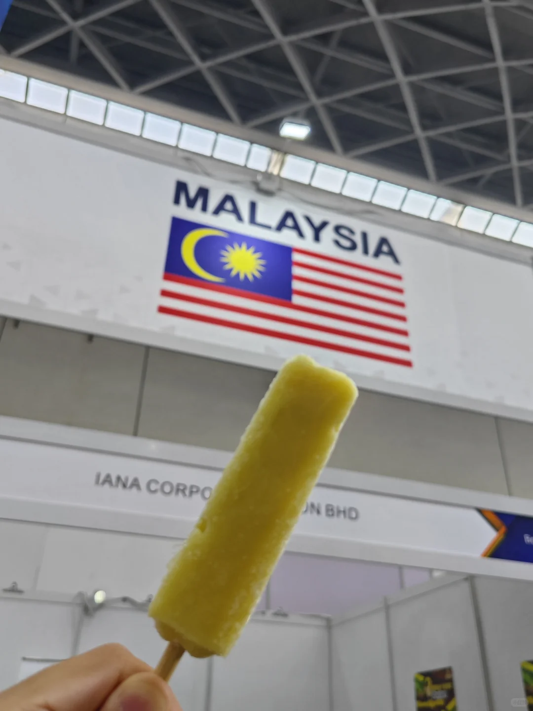 就真的没人吐槽东盟博览会的安检吗。。。