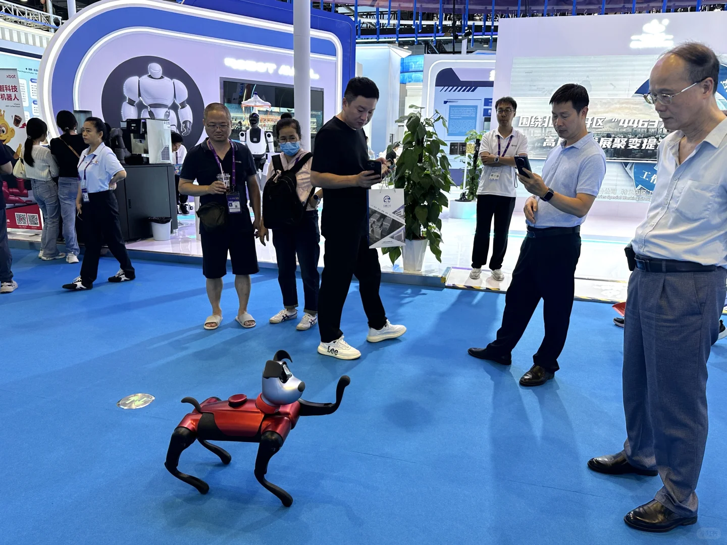 东博会记者日常?️