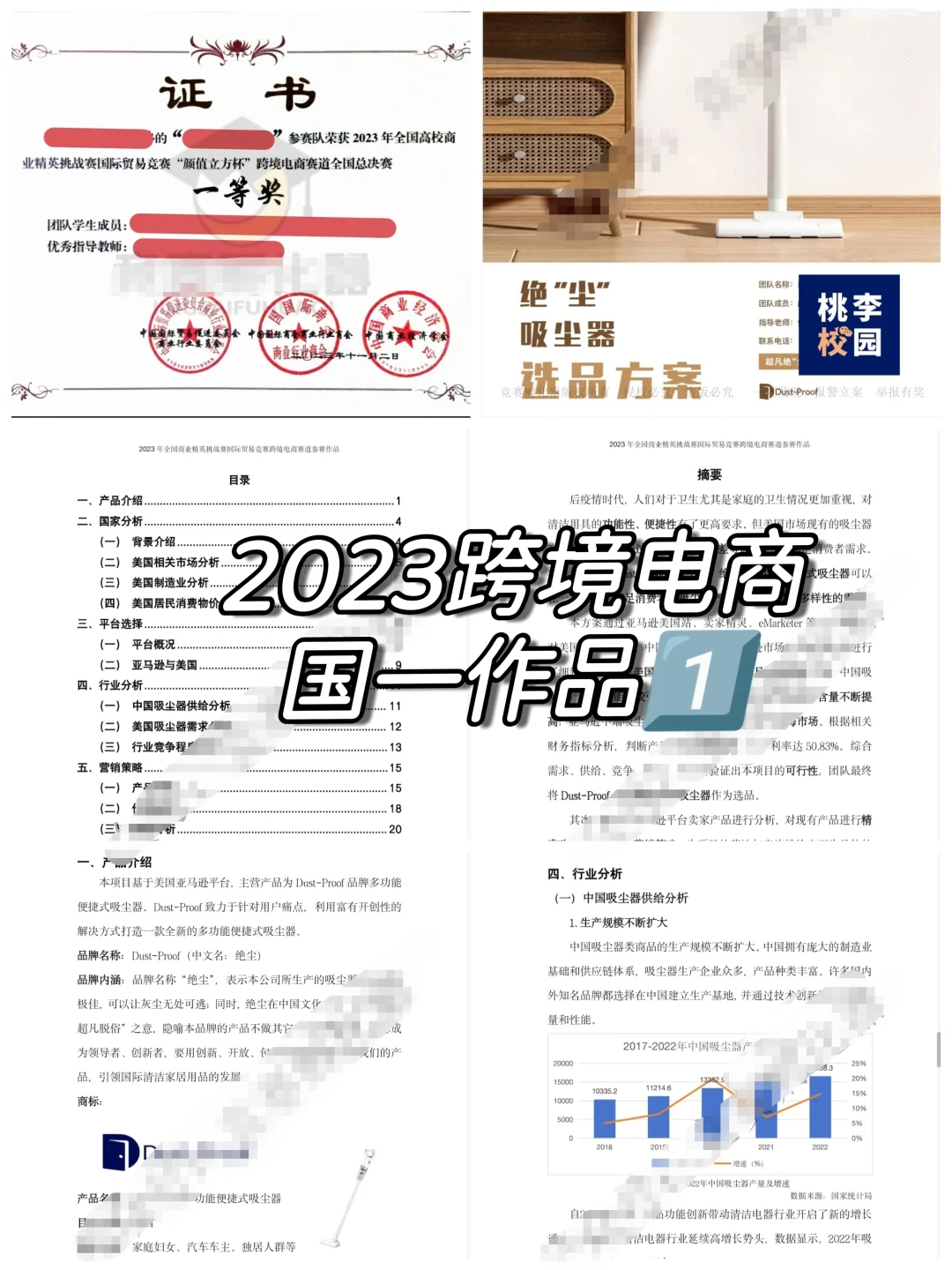 商挑 | 跨境电商 | 国一作品合集分享‼️