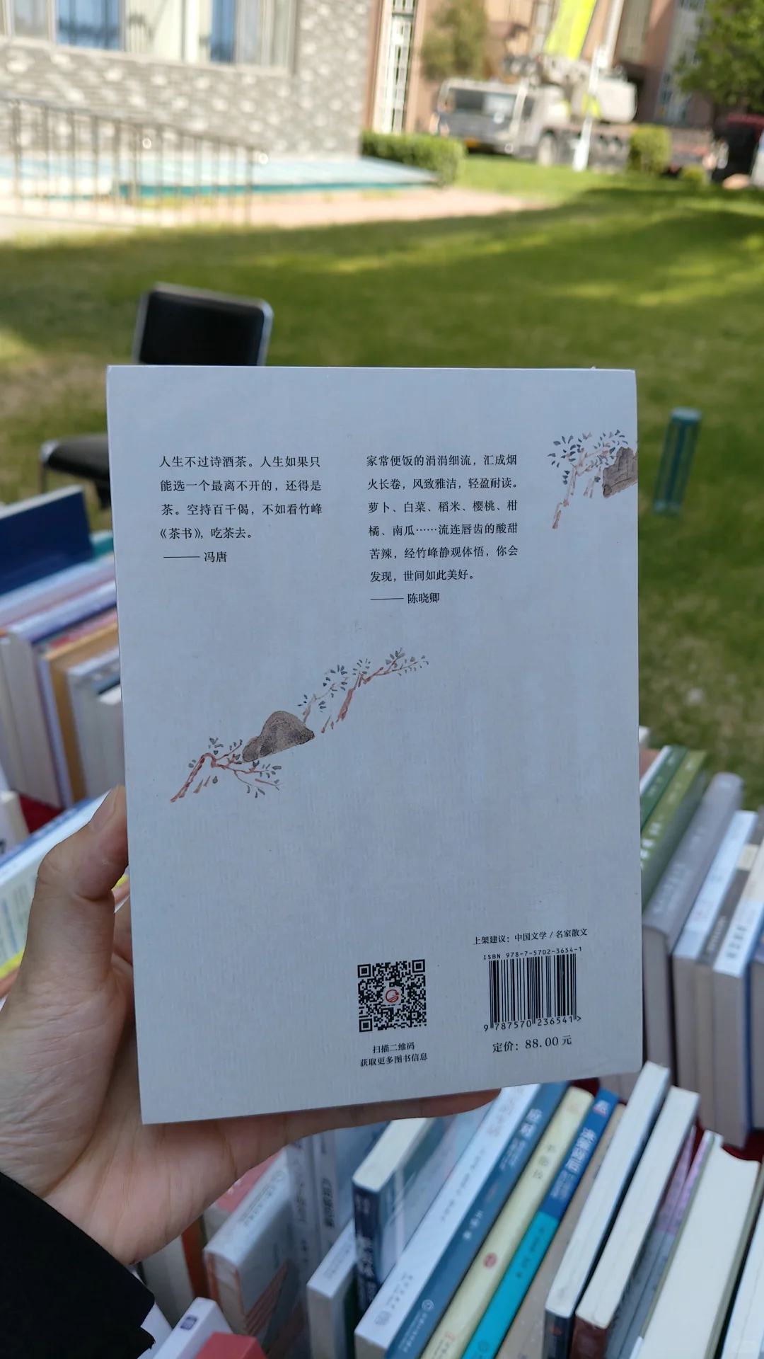 图书推介会，一眼被茶吸引！