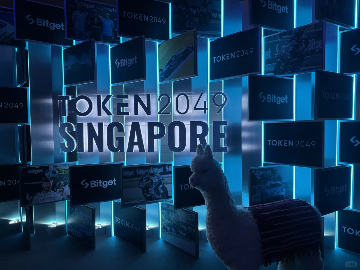 ??AI打工人参加Token2049｜见解分享?