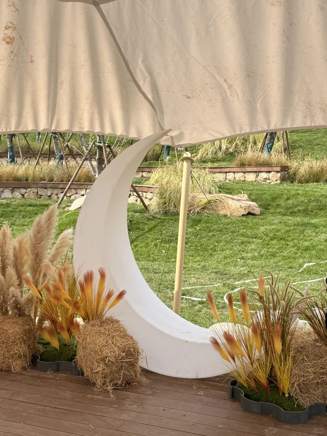 石家庄！！！公园节！！！免费的！！快去！！！