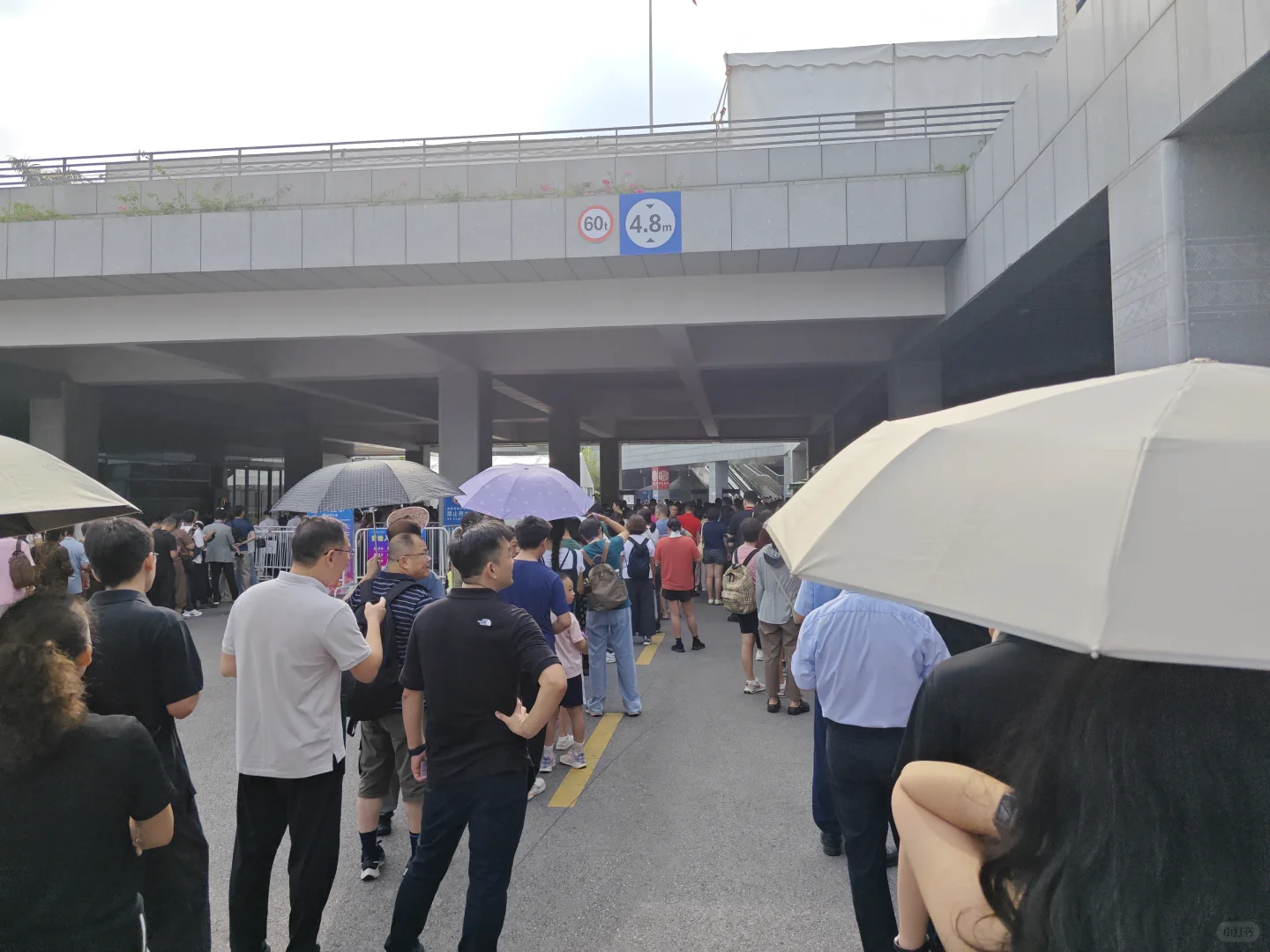 就真的没人吐槽东盟博览会的安检吗。。。