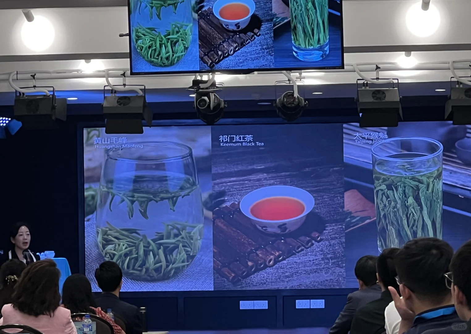 ?? 安徽文旅（新加坡）推介会