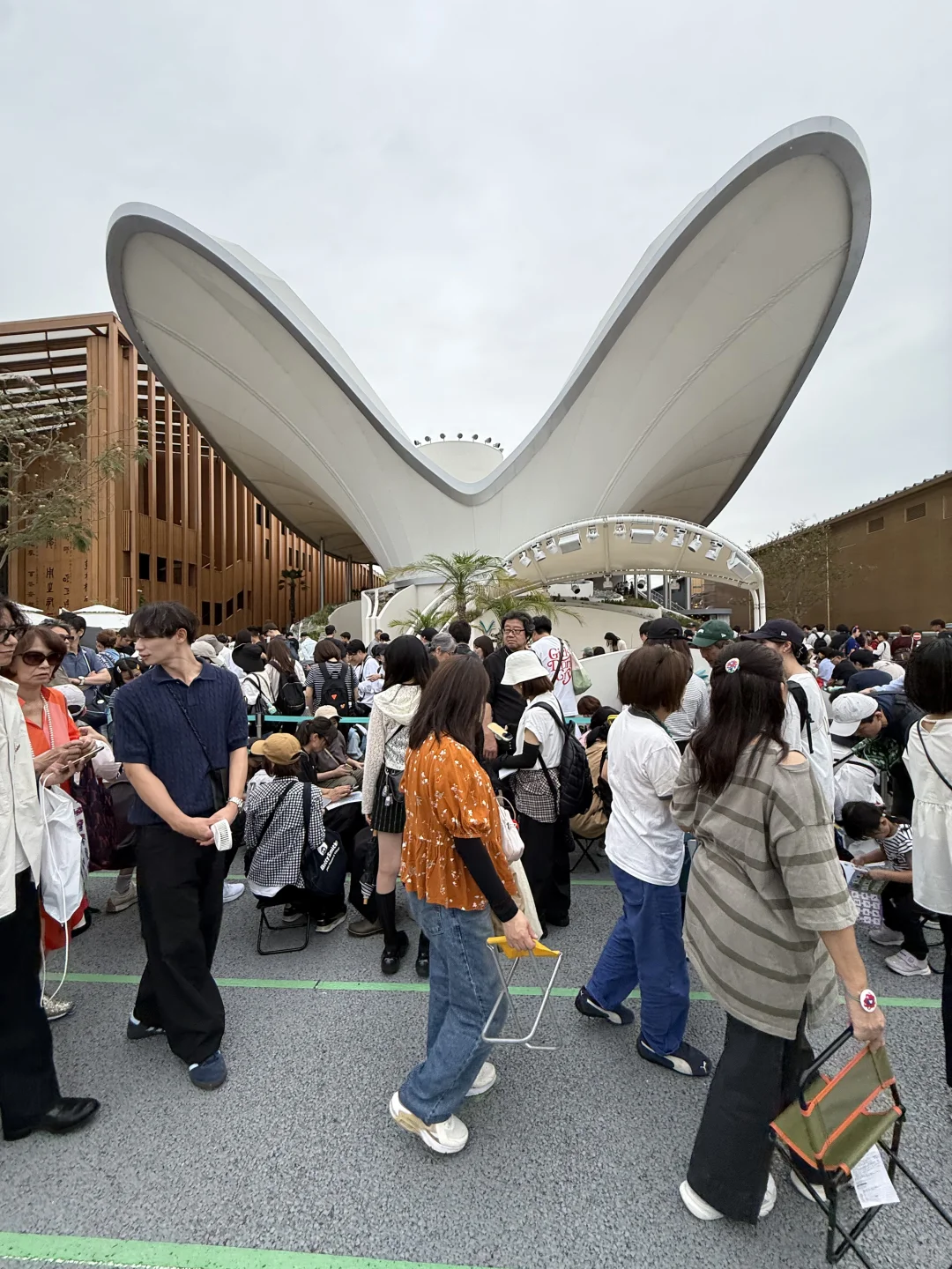 我以为大阪世博会没人了，结果。。。。