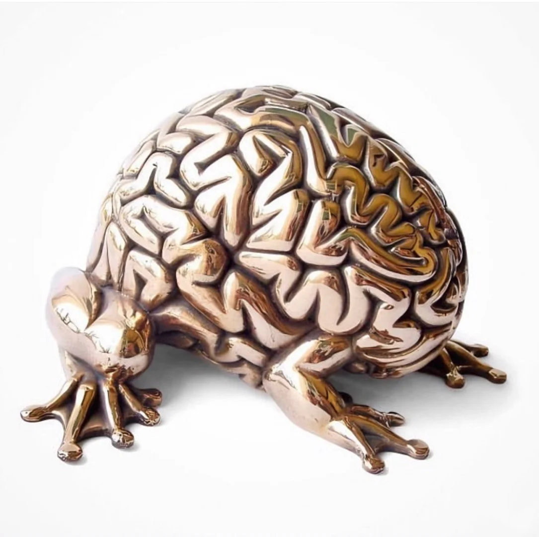 《神经与符号：Emilio 的艺术世界》