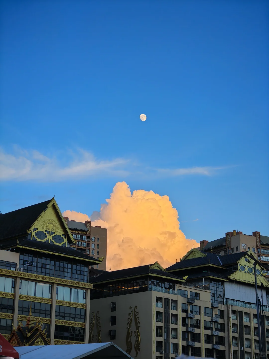 西双版纳花卉园集市·在树下(蓝湖超出片)