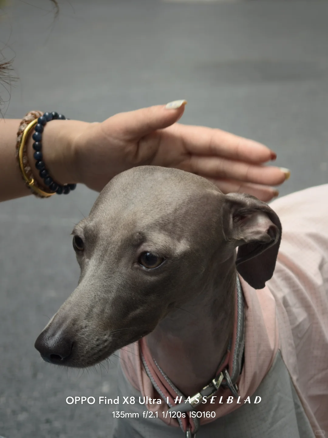 成都此地cypark亚洲咖啡展销会