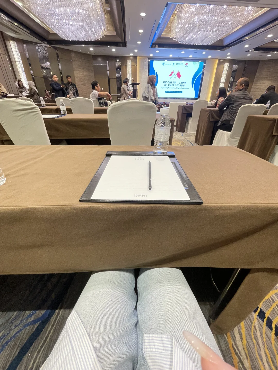 小小民办二本英专生勇闯印尼商务洽谈会！！