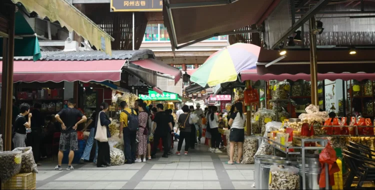 ?【干货预警！陈皮小白必看】