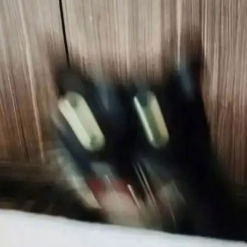 这推介会你就看吧