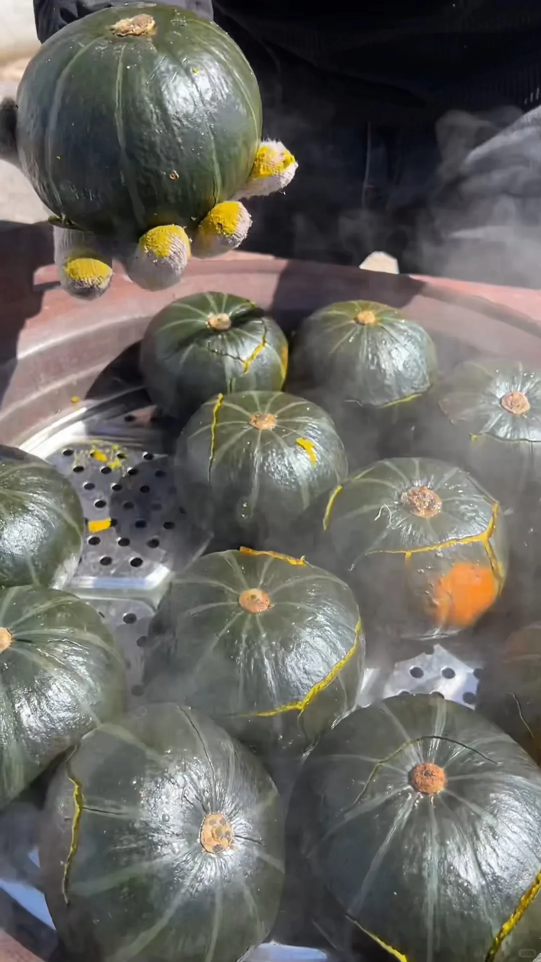 天呐！不好了！贝贝南瓜上展销会了！