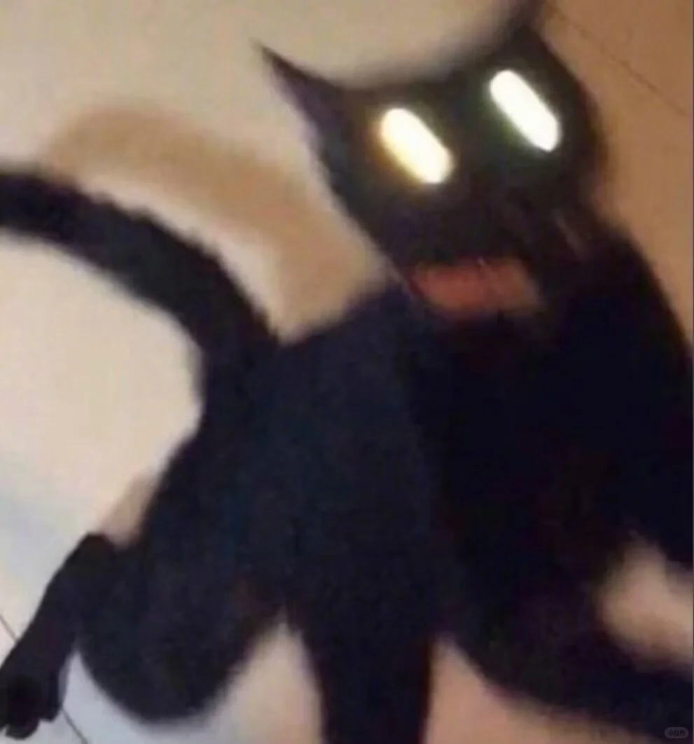 这推介会你就看吧