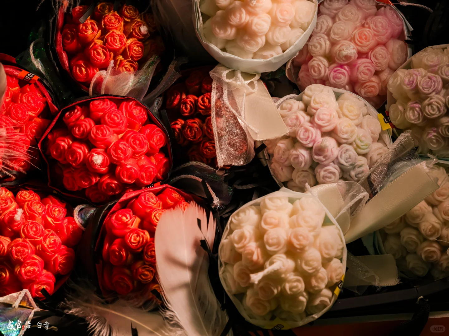 石家庄小众市集！！！