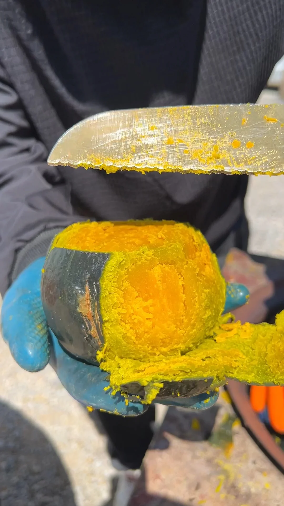 天呐！不好了！贝贝南瓜上展销会了！