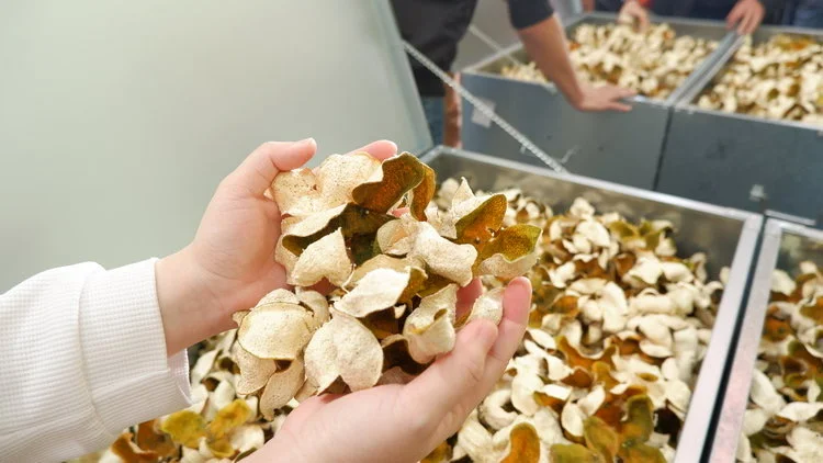 ?【干货预警！陈皮小白必看】