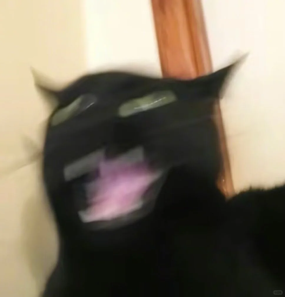 这推介会你就看吧