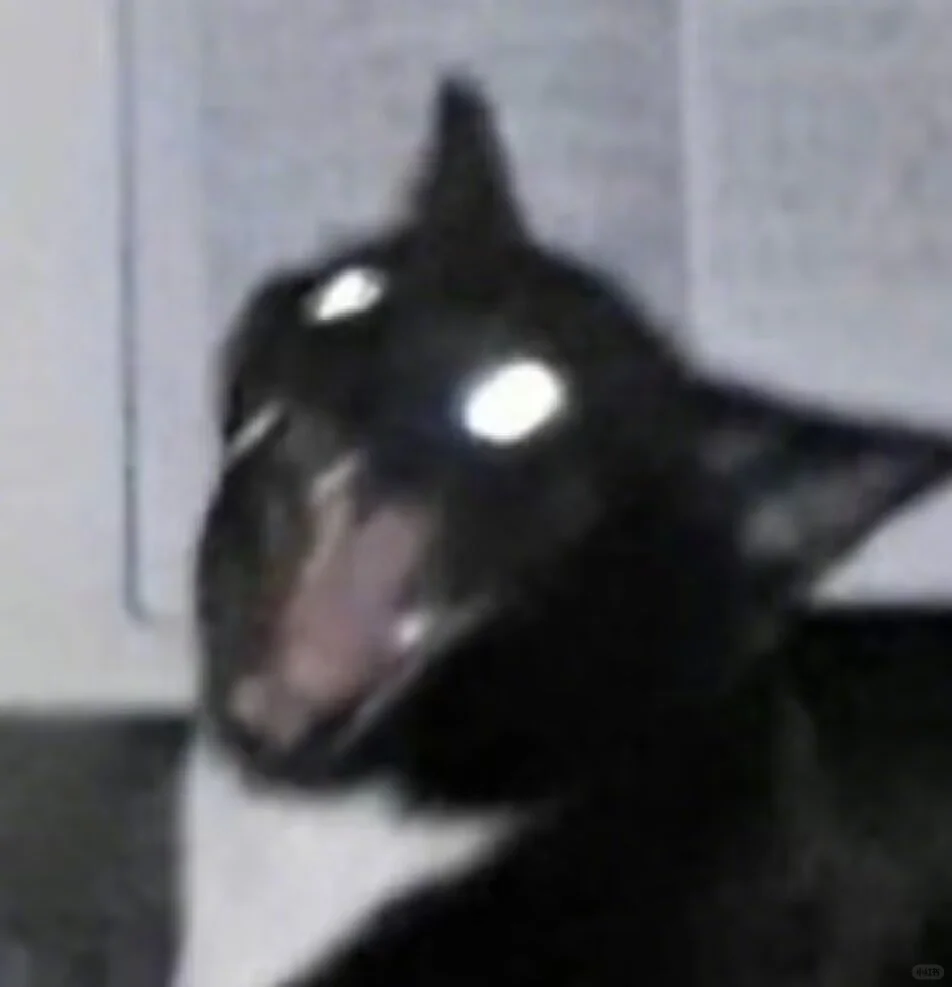 这推介会你就看吧