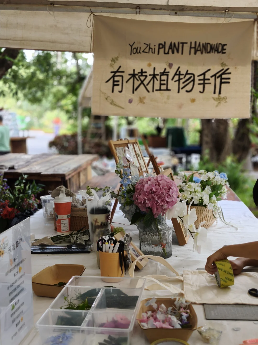 西双版纳花卉园集市·在树下(蓝湖超出片)