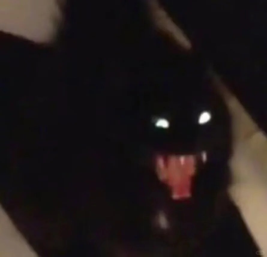 这推介会你就看吧