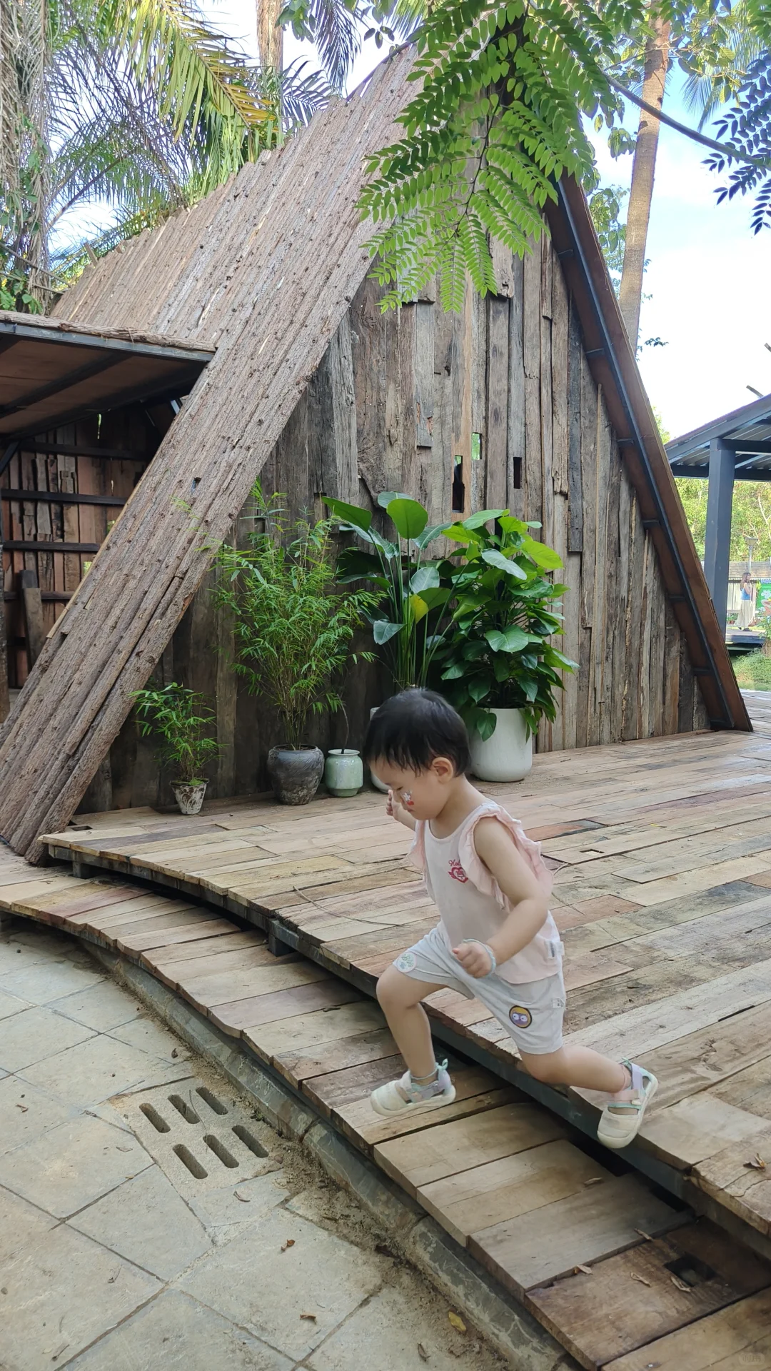 西双版纳花卉园集市·在树下(蓝湖超出片)