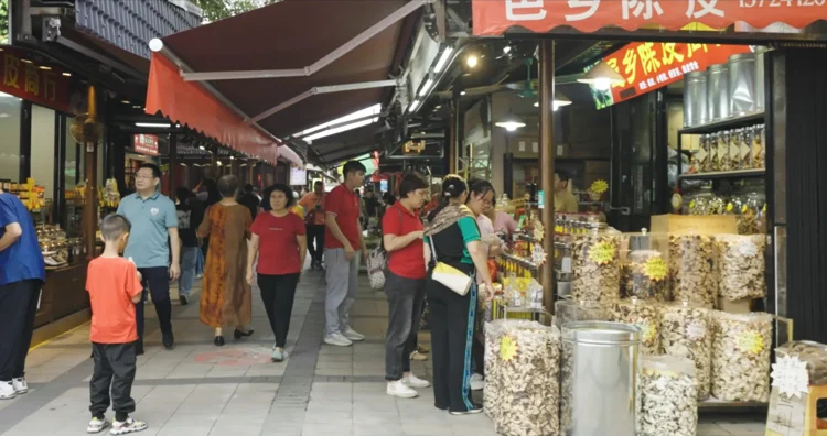 ?【干货预警！陈皮小白必看】