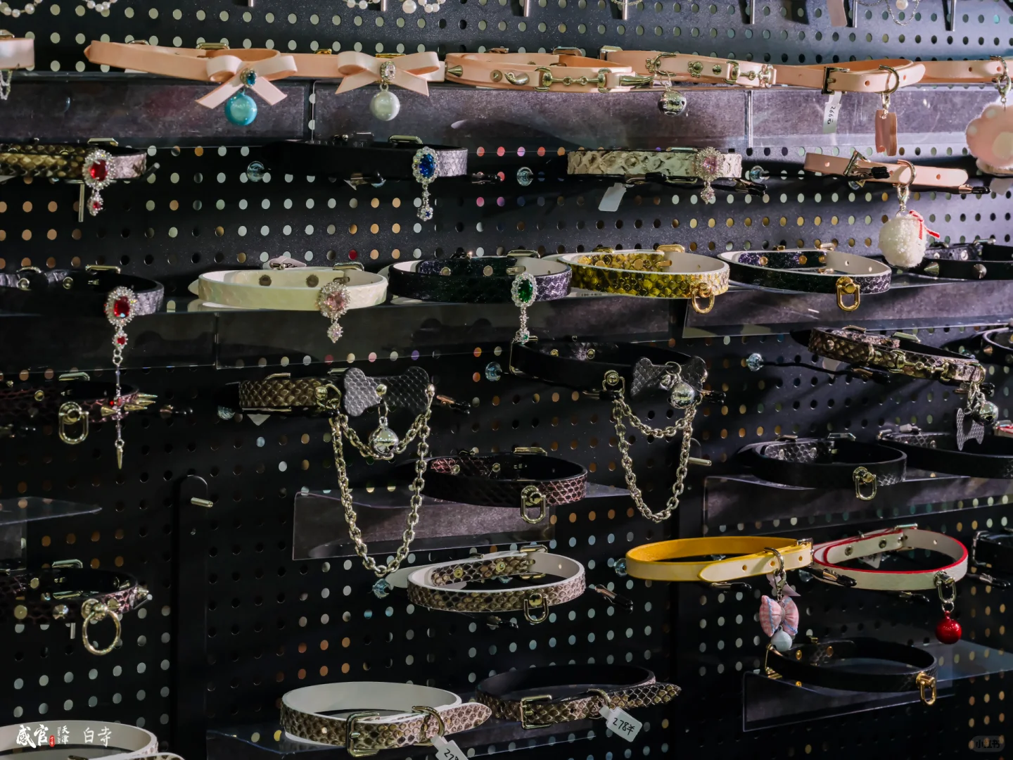 石家庄小众市集！！！