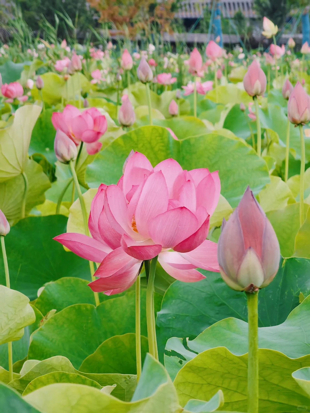 东钱湖·国际会展中心