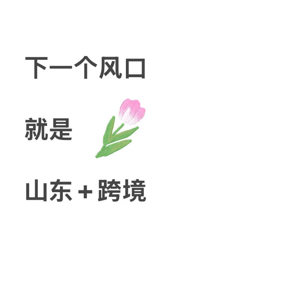 下一个风口就是山东+跨境！