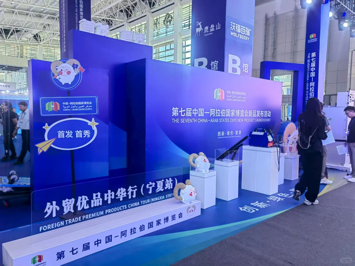 2025年中阿博览会红动优学设计项目