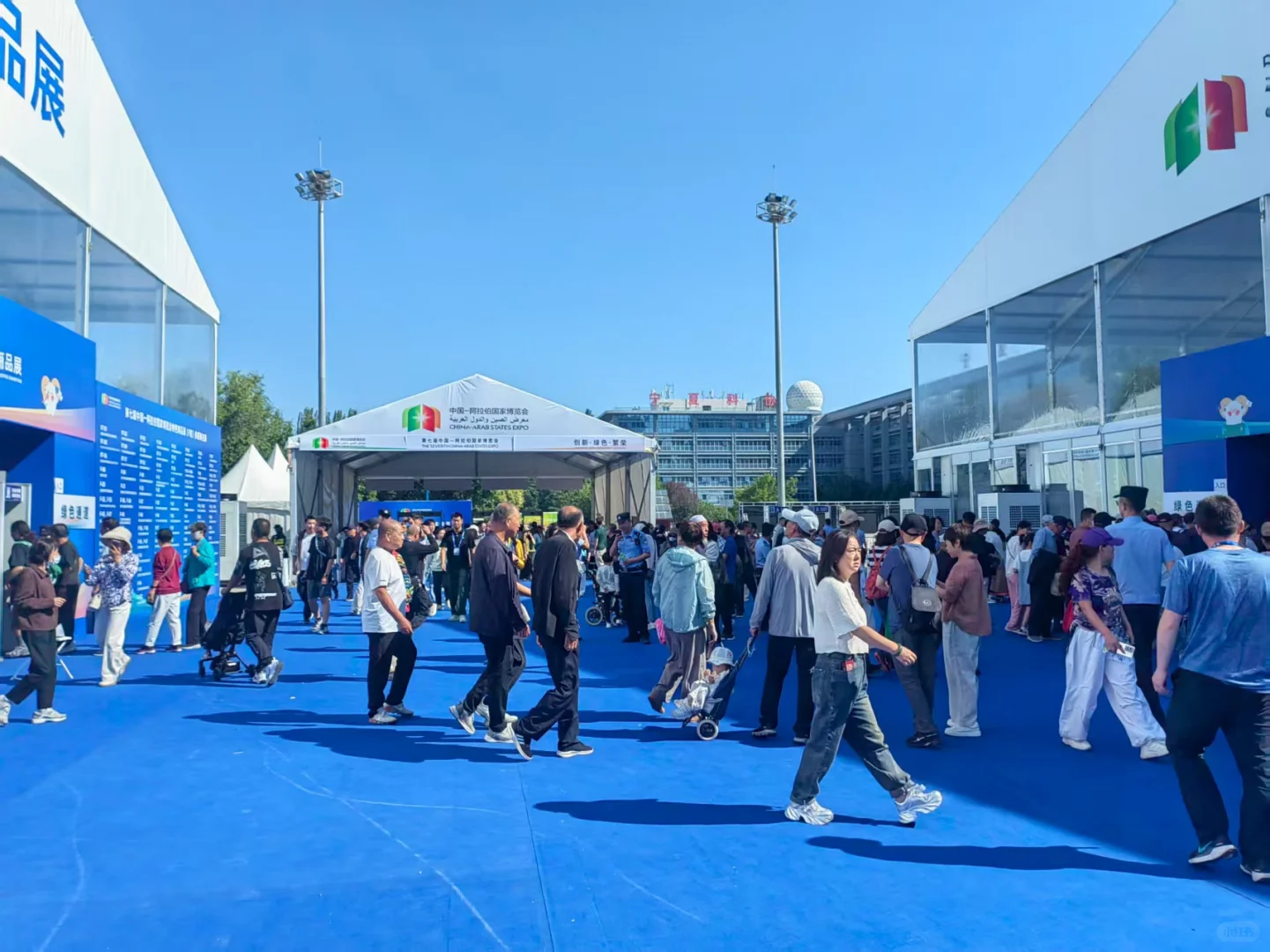 2025年中阿博览会红动优学设计项目