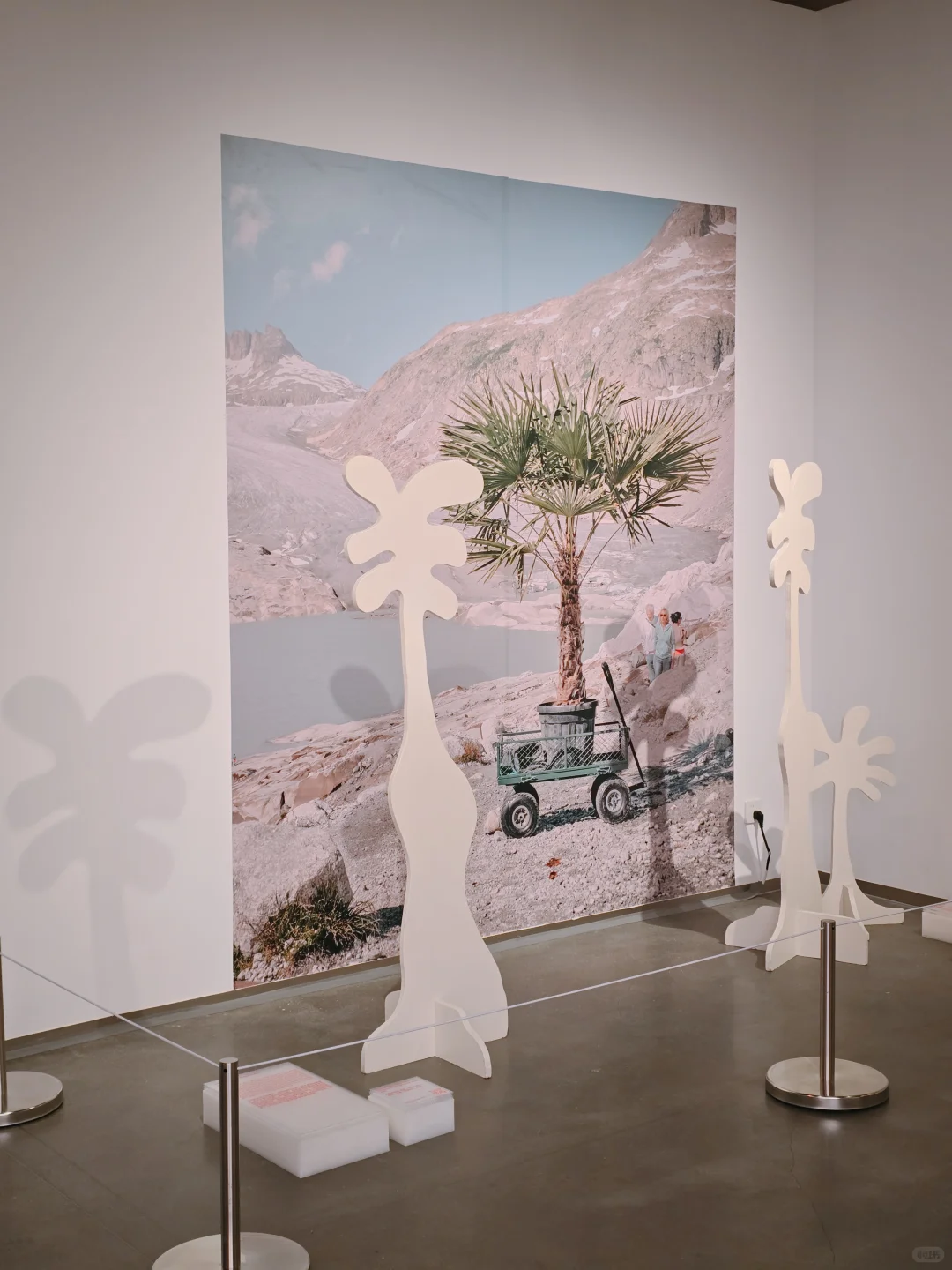 重庆i人必看❗设计感超强的瑞士家具展❗