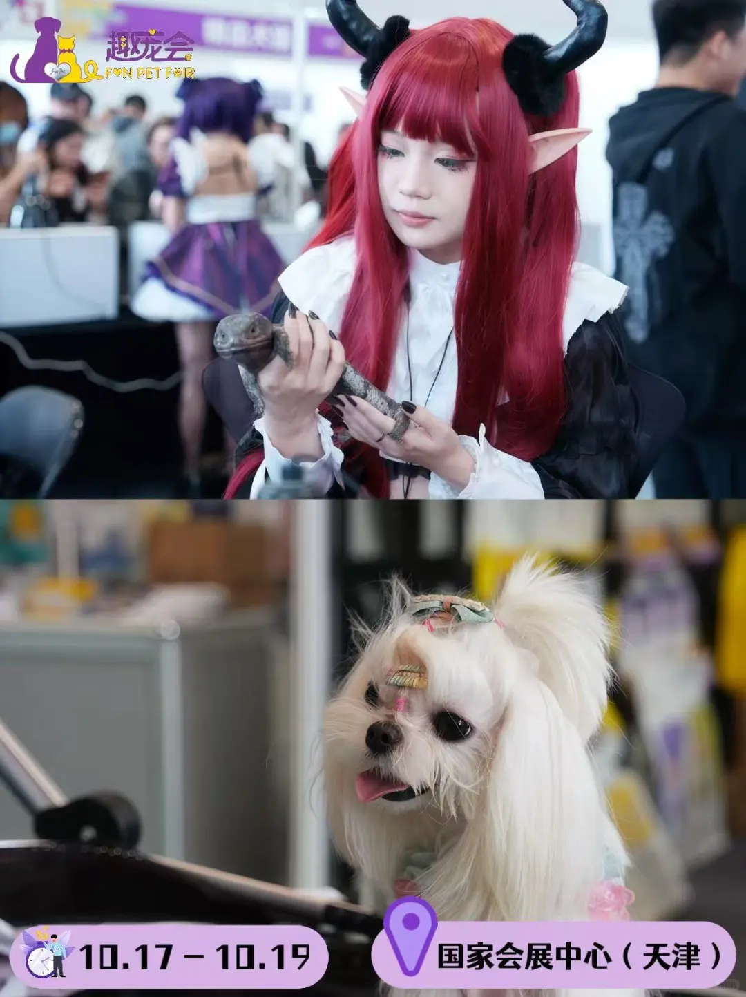 官宣！天津趣宠会重磅回归