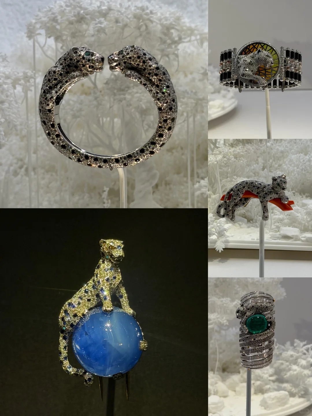 V&A看展：Cartier和玛丽·安托瓦内特时尚展