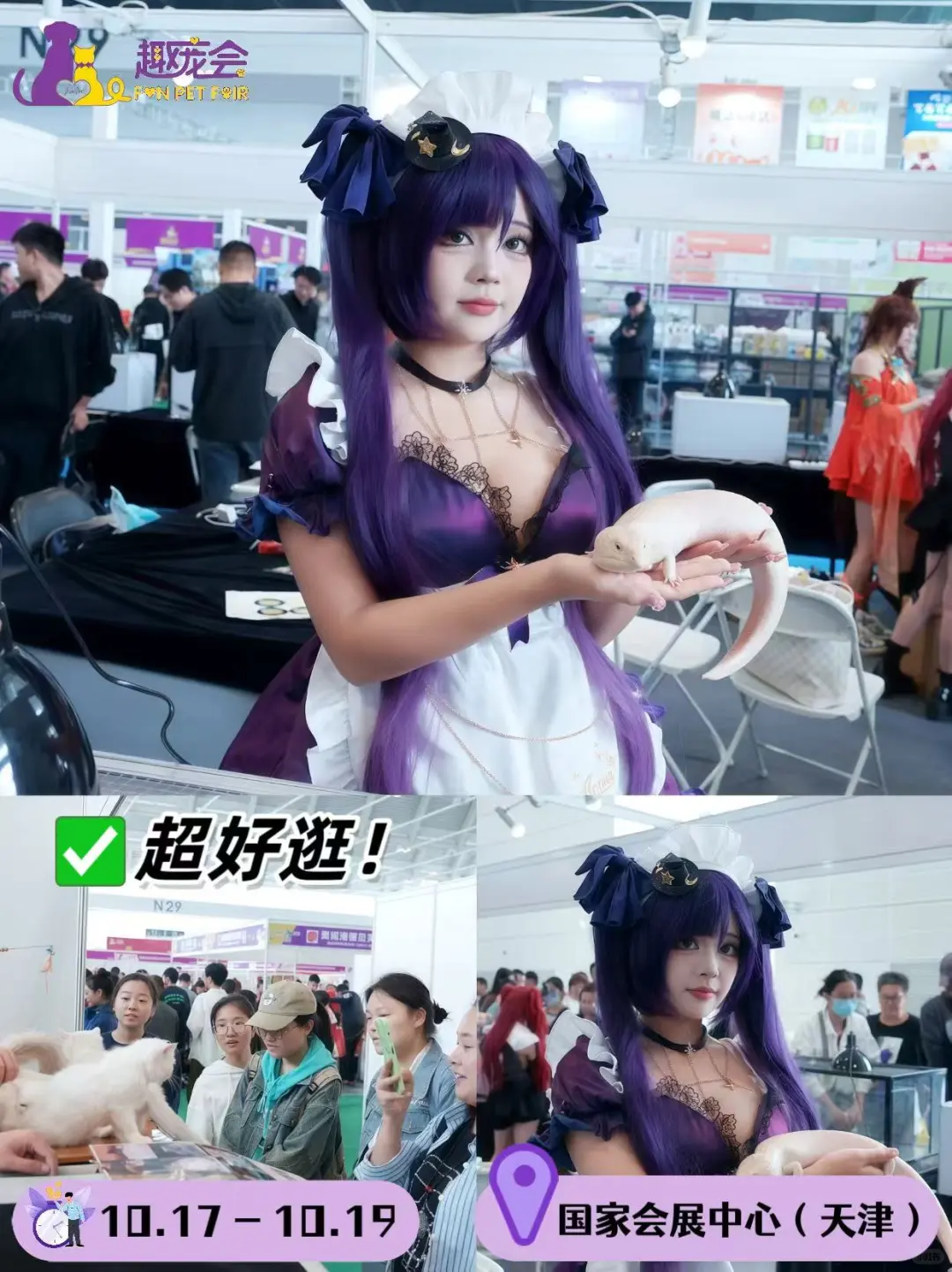 官宣！天津趣宠会重磅回归