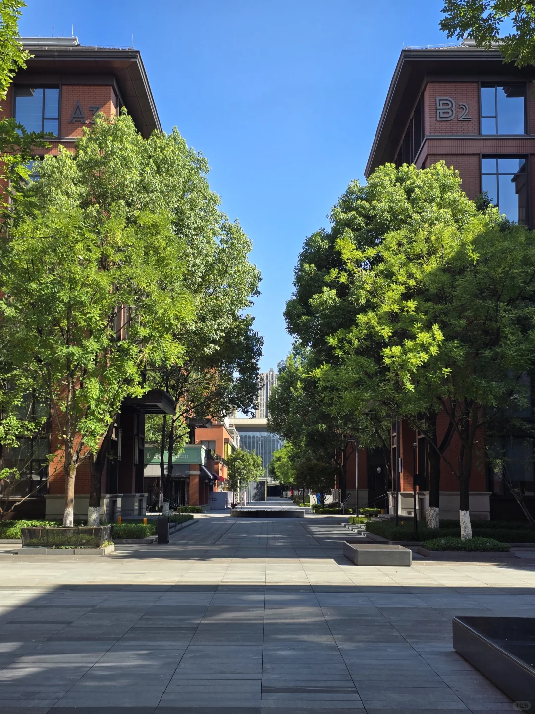 重庆i人必看❗设计感超强的瑞士家具展❗