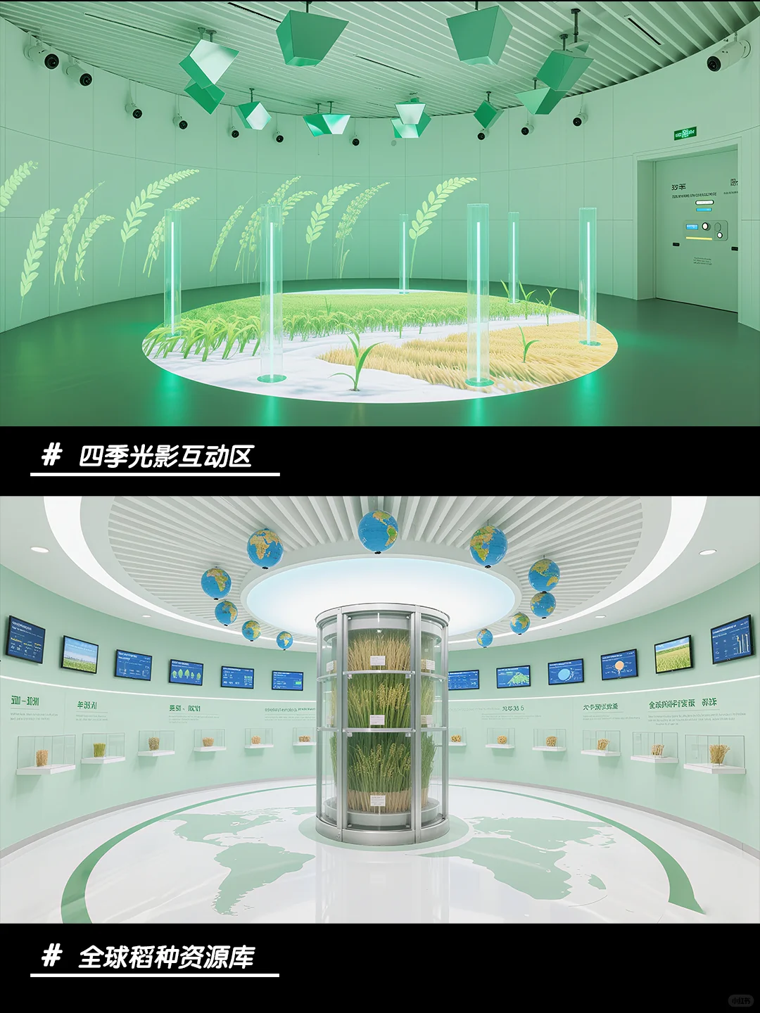 青禾织梦的稻空间～ 风动稻穗摇