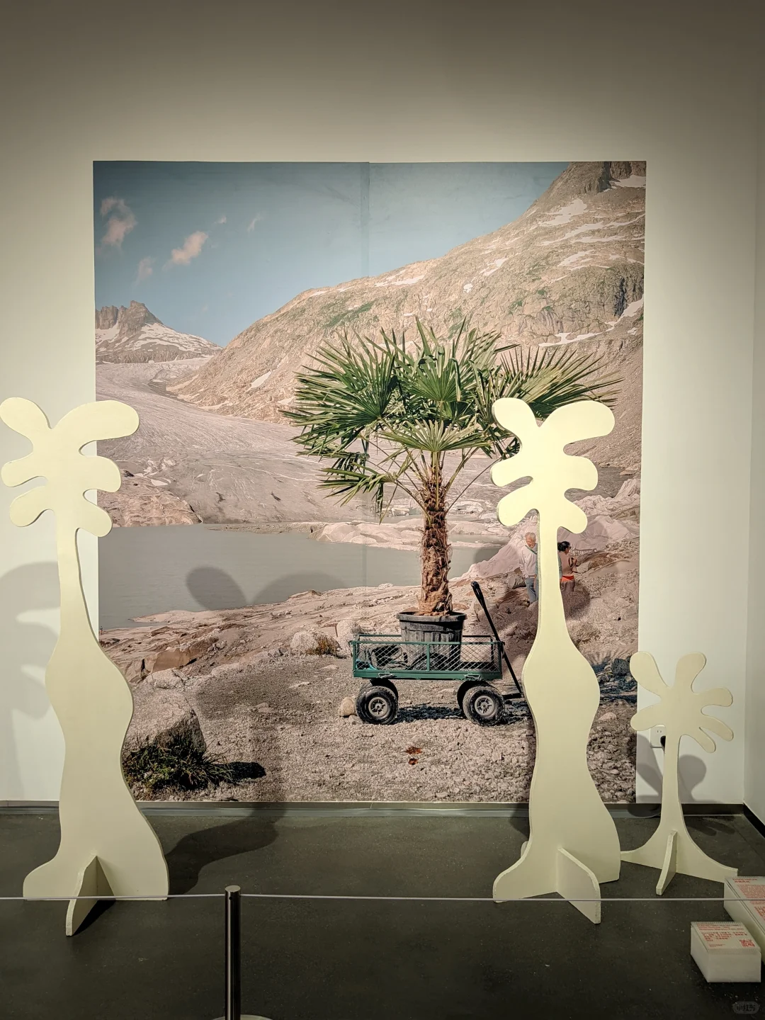 重庆看展｜中瑞建交75周年，瑞士设计展来袭