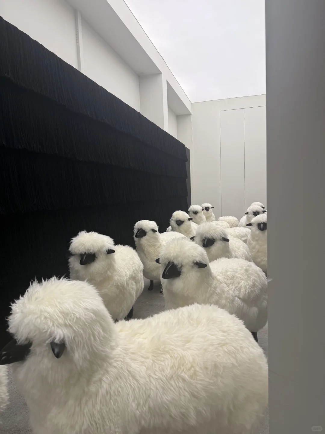 东莞设计周｜一些有趣的布展&细节