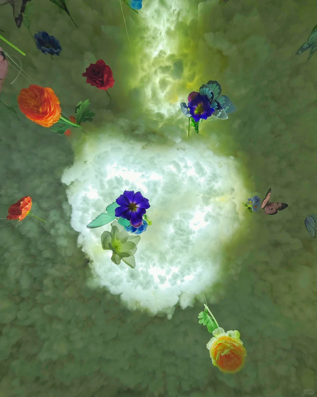 这个漂亮新展，即使开学了也不要错过呦