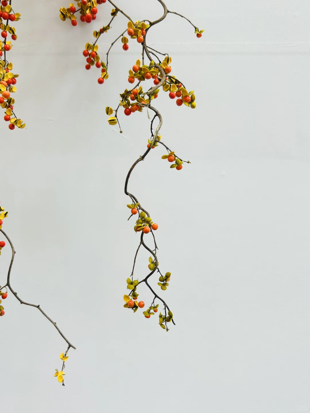 江西省图书馆最美书设计展