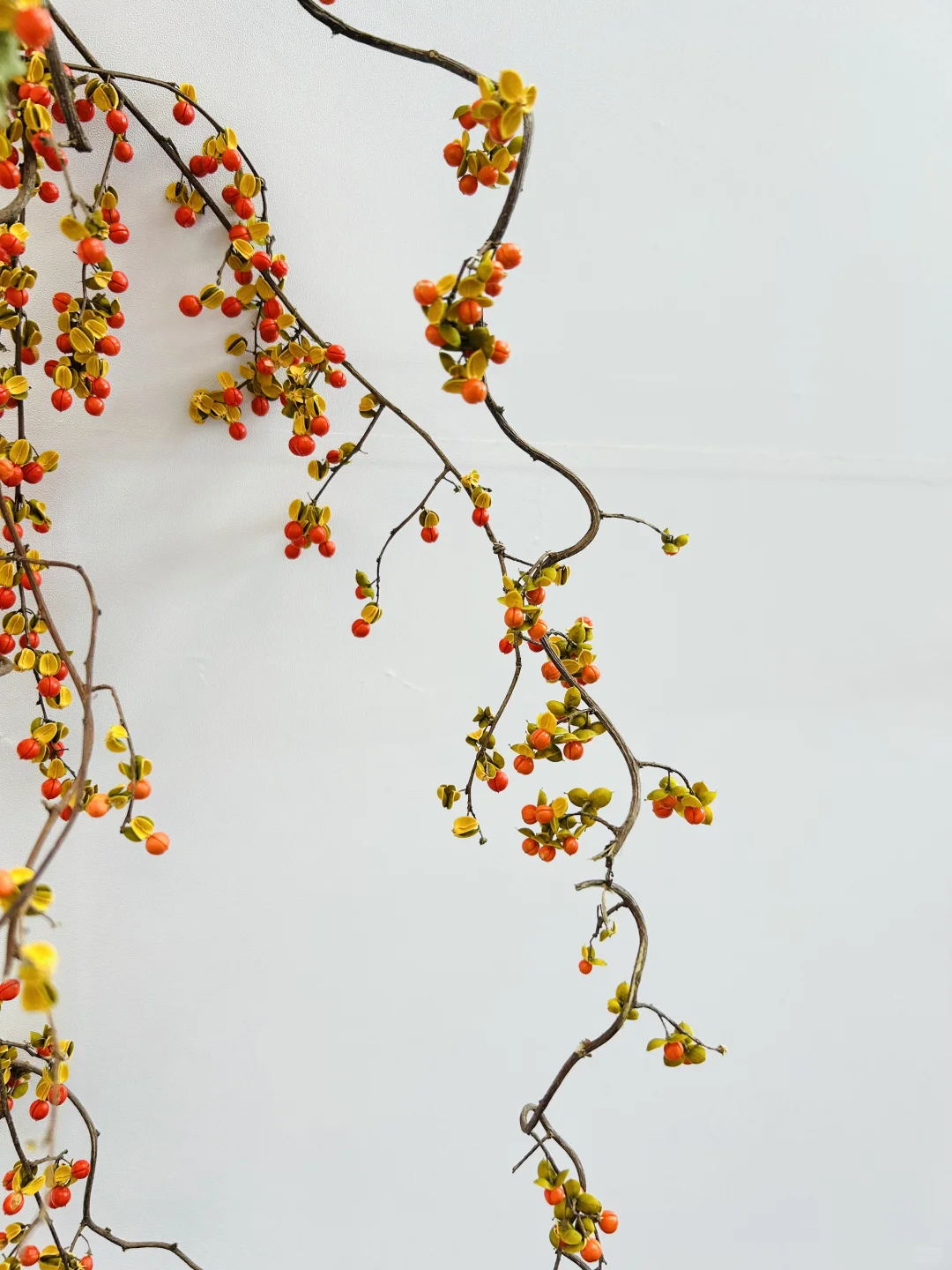 江西省图书馆最美书设计展