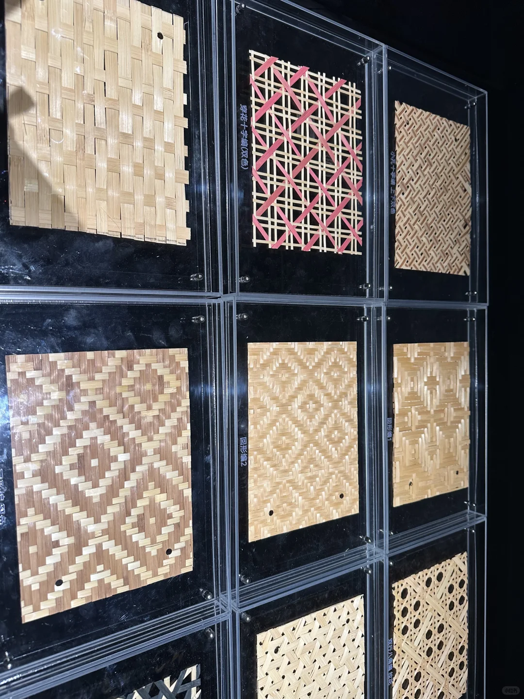 摩登上海设计展·不可居无竹